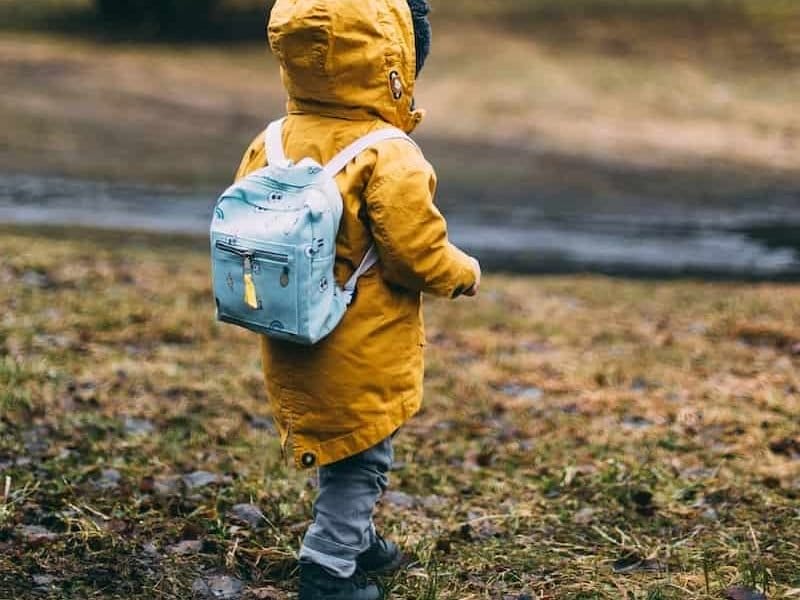Family Road Trip Luggage Pack